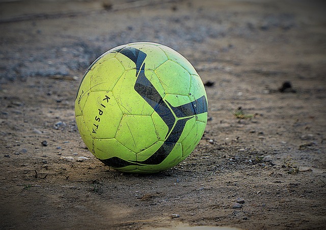 进行了分析 进行了分析